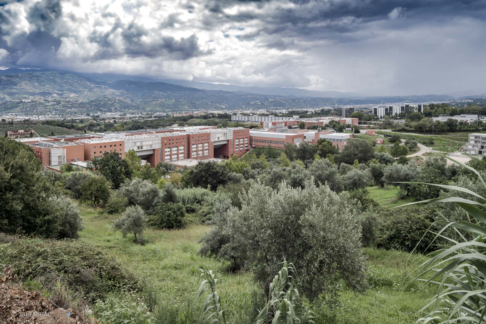 Unical: L’Università-Ponte che Ha Riplasmato la Calabria