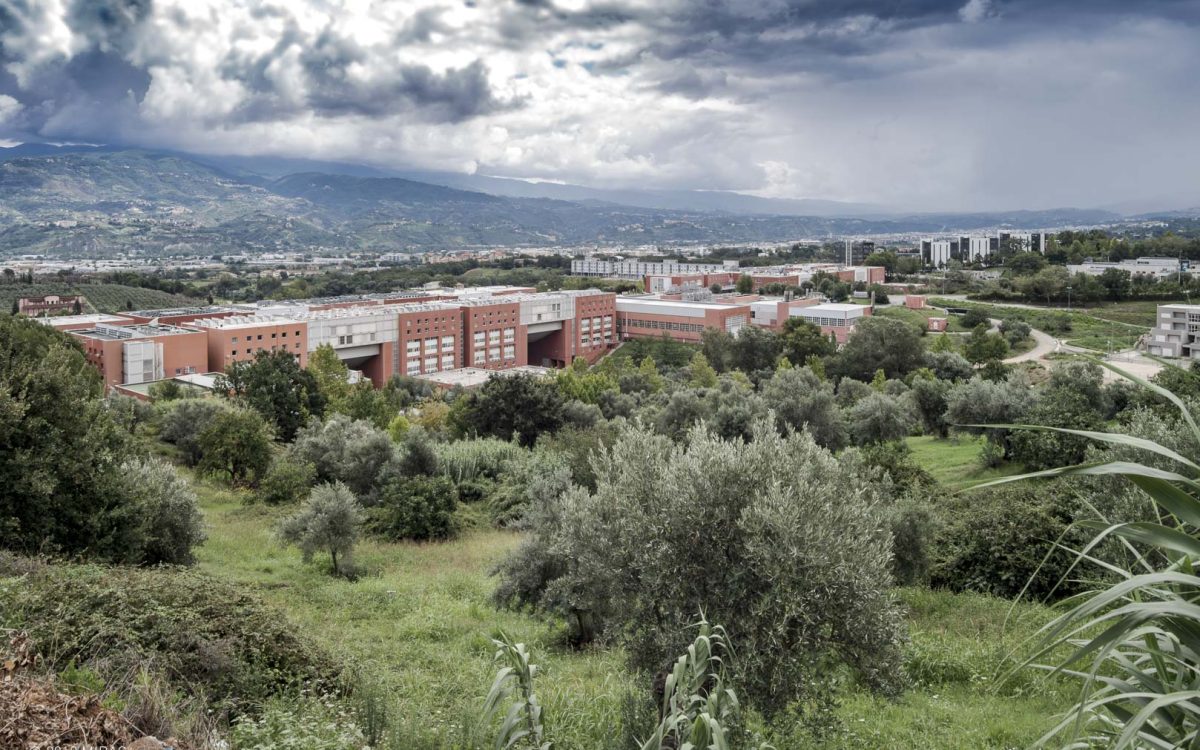 Unical: L’Università-Ponte che Ha Riplasmato la Calabria